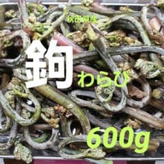 Miyo かぎわらび 600g Miyo様 専用 かぎわらび 600g - メルカリ