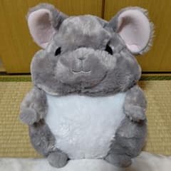 m71908785453_1.jpg?1712308735