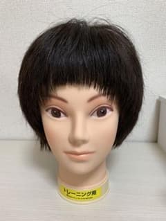 カットウィッグ 美容師 美容学生のサムネイル