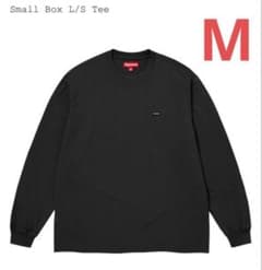 Supreme Small Box L/S Tee (26SS) 
