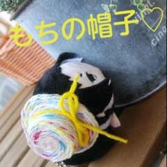 もちマスのお帽子のサムネイル