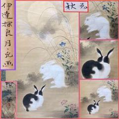 超限定5月27日20時迄‼️明治月うさぎ　伊達探良作「月兎/秋兎」肉筆　掛軸桐箱 m71920959071_1.jpg?1657344842