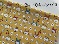 2m 코튼 코바야시 우사네코 고양이 고양이 10 캔버스 노란 @78D