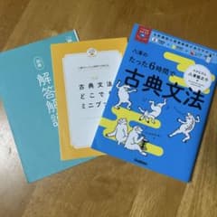 八澤のたった6時間で古典文法のサムネイル