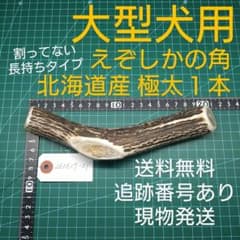 えぞ鹿の角 極太１本 大型犬用 260617-01 愛犬のおもちゃのサムネイル