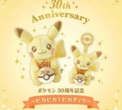 포켓몬 ★♥ 반짝반짝! 피카츄 ♥★30주년 기념★마스코트・봉제인형