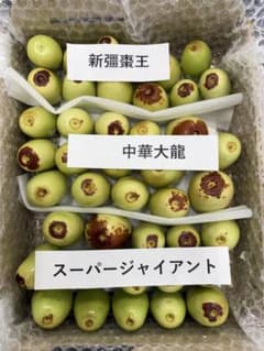 なつめ 3種セット 新疆棗王 中華大龍 スーパージャイアント　無農薬　長野市産のサムネイル