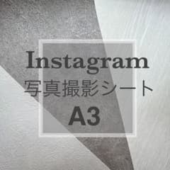 A3 写真撮影シート　3枚セット　インスタ映えのサムネイル