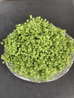天然　山椒の実　300gのサムネイル