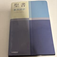 聖書 新共同訳 ハンディバイブル 日本聖書協会のサムネイル