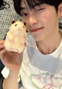 助六の日常 助六 ぬいぐるみ　マスコット ソンハンビン ZB1 ゼベワン Amazon.co.jp: ハムスター 助六の日常 ぬいぐるみ マスコット