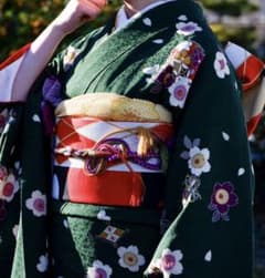 低身長⭕️振袖 帯 長襦袢 ファー 4点セット 京都きもの友禅 幾何学 