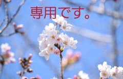 ぱたはち様　専用です。のサムネイル