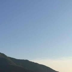 専用のサムネイル