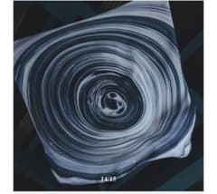 DWS SHIKINAGASHI SCARF_