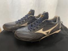 m71994747280_1.jpg?1715245948