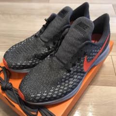 【28cm】NIKE ZOOM PEGASUS 35のサムネイル
