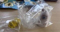 PUTITTO ヒグチユウコ フィギュア ひとつめちゃん テシオカヒトデのサムネイル