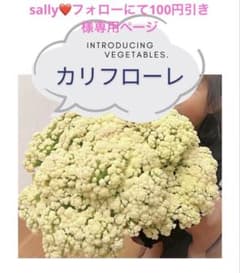 sally❤️フォローにて100円引き様専用ページのサムネイル