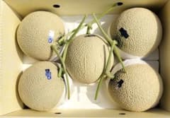n*o様 高知産　約１０ｋｇ　贈答用　５玉　大玉マスクメロン　秀品　北海道沖縄発 高知産 贈答用 温室マスクメロン 玉 約9，3Kg A品 北海道沖縄発送