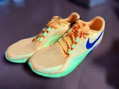 Nike Zoom Rival Waffle 7(ライバルワッフル7) - メルカリ