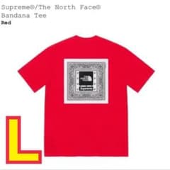 Supreme The North Face Bandana Teeのサムネイル