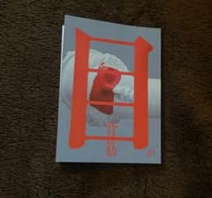 『目が』 背筋 ポプラ社 単行本 小説のサムネイル