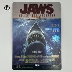 m72010987333_1.jpg?1765688862