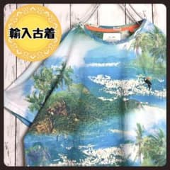 US古着 総柄 フォトグラフィック プリント 刺繍ロゴ 鳥 半袖Tシャツ XLのサムネイル