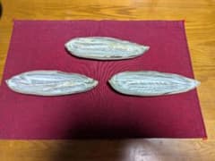 陶器 皿 3枚セット 舟形 刷毛目　粉引のサムネイル