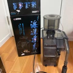 カミハタ　海堂達磨のサムネイル
