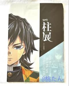 Demon Slayer: Kimetsu no Yaiba Pillar Exhibition Clear File Bag - Giyu Tomioka