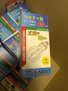 YADA カボチャ型 ECO電球 40W E26口金 9セット YADA カボチャ型 ECO電球 40W E26口金 9セット | Mercari