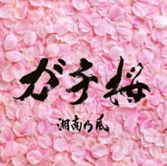 ガチ桜/湘南乃風のサムネイル