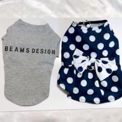 犬服　ドット柄とTシャツ　2点セットＳサイズのサムネイル