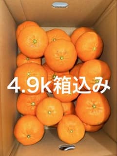 20驚愕のシャキシャキ感】甘平4.9kg箱込訳あり　濃厚なコクと溢れる果汁！のサムネイル