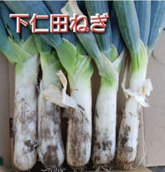下仁田ネギ　群馬県産　ネコポス発送　農薬不使用　特産品季節野菜　冬野菜