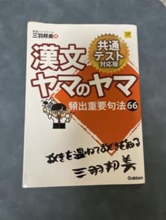 漢文ヤマのヤマ 共通テスト対応版 三羽邦美のサムネイル