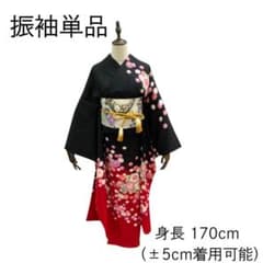 ≪早い者勝ち≫【美品】 振袖 正絹 古典柄 成人式 単品 黒 菊 *217