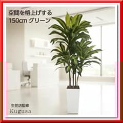 生花店監修 フェイクグリーン ドラセナ 150cm 大型 観葉植物 造花 鉢