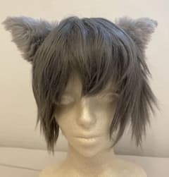 ベルリオーズ Dハロ コスプレ ウィッグ - メルカリ