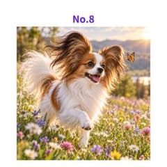 【No.8】ステッカー パピヨン 花畑を駆けるパピヨン 犬 3枚500円 - 4