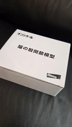 【新品未使用】Elenco 猫の股関節模型 新品未使用】Elenco 猫の股関節模型 - メルカリ