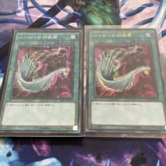 ハーピィの羽根箒のサムネイル