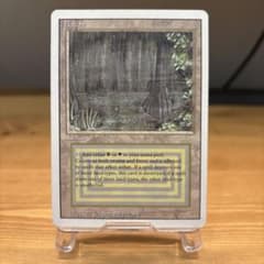 [EX]Tundra 3ED EN リバイズド デュアルランド MTG EX]Tundra 3ED EN リバイズド デュアルランド MTG - メルカリ