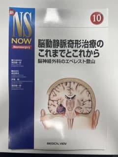 脳動静脈奇形治療のこれまでとこれから 脳神経外科のエベレスト登山のサムネイル