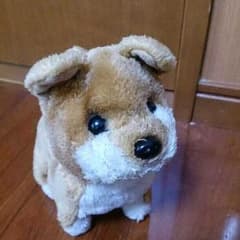Kobaさん専用です、他の方はご遠慮願います。のサムネイル