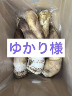 京都山城産　朝掘り白子筍訳あり入りのサムネイル