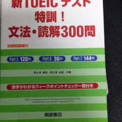 新TOEICテスト特訓!文法・読解300問のサムネイル