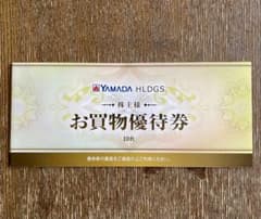 ヤマダ電機 株主優待券 500円×8枚 4,000円分 2024年6月末までのサムネイル